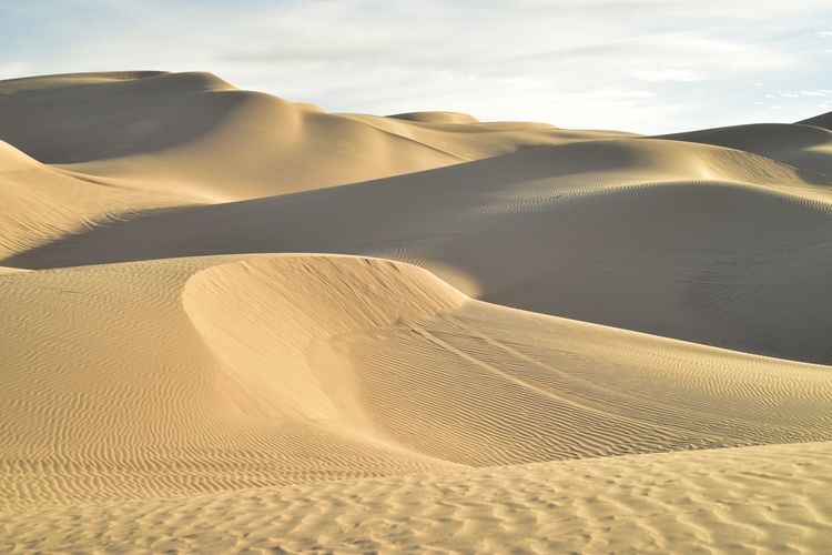 Scenic view of sand dunes against sky