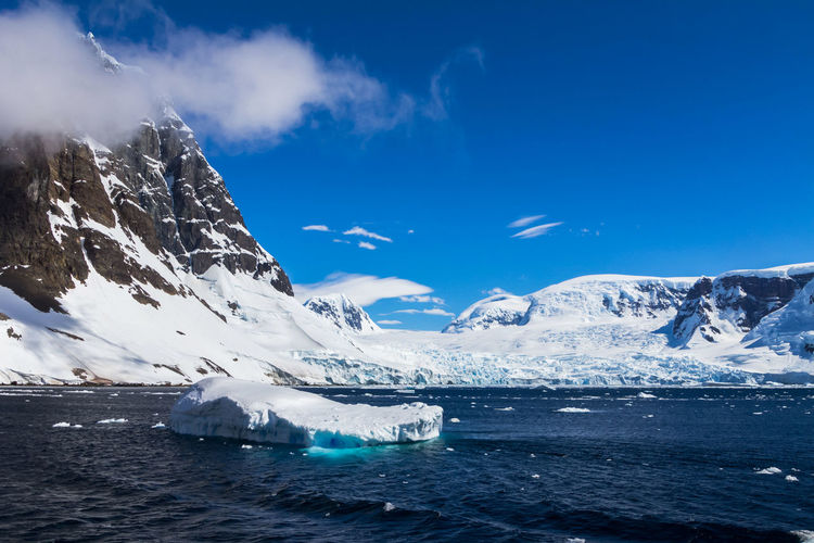 Icebergs in antarctica continent