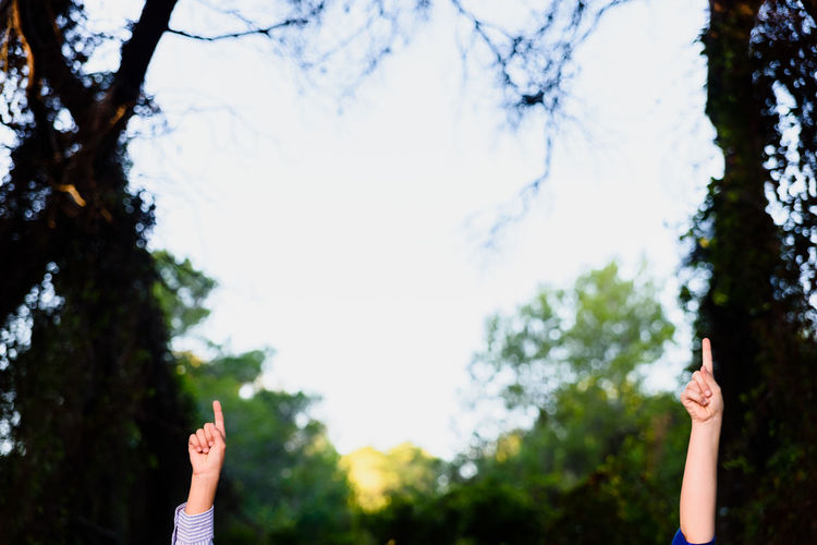 Cropped image of people with arms raised against trees
