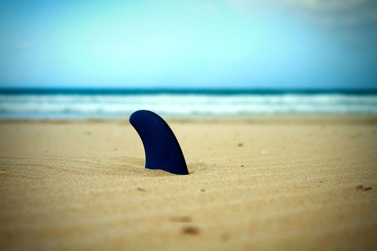Surface level shot of shark fin in sand on sea shore against sky