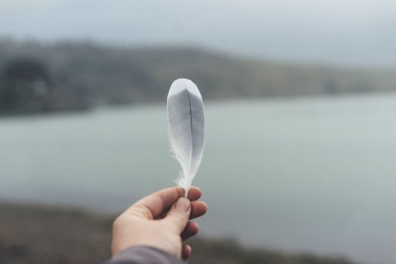Close-up of hand holding feather against lake