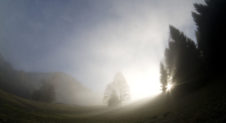 mist