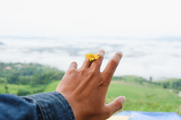 Close-up of hand holding dandelion against sky