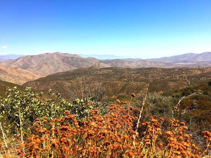 Scenic view of mountains against clear sky at cleveland national forest