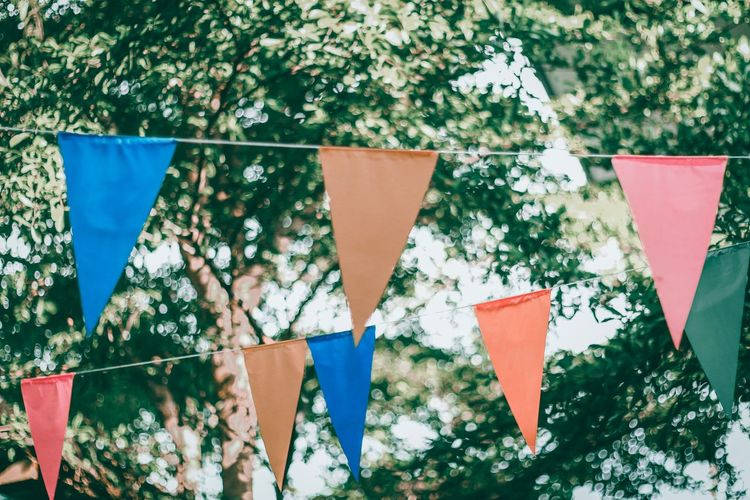 Close-up of multi colored bunting hanging against branches