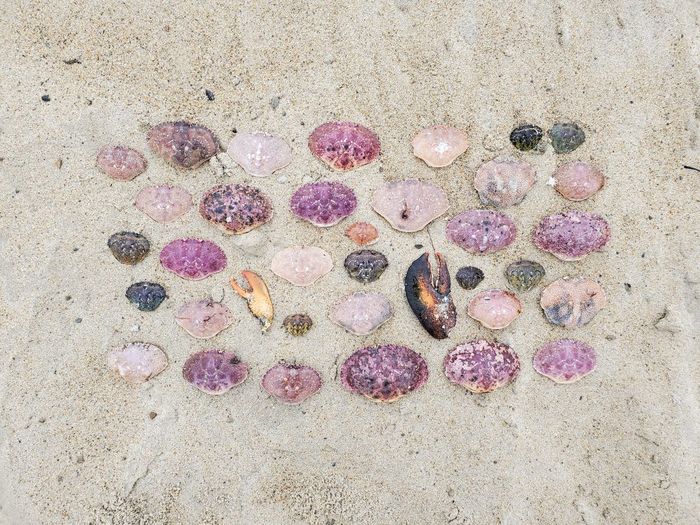 High angle view of pebbles on sand