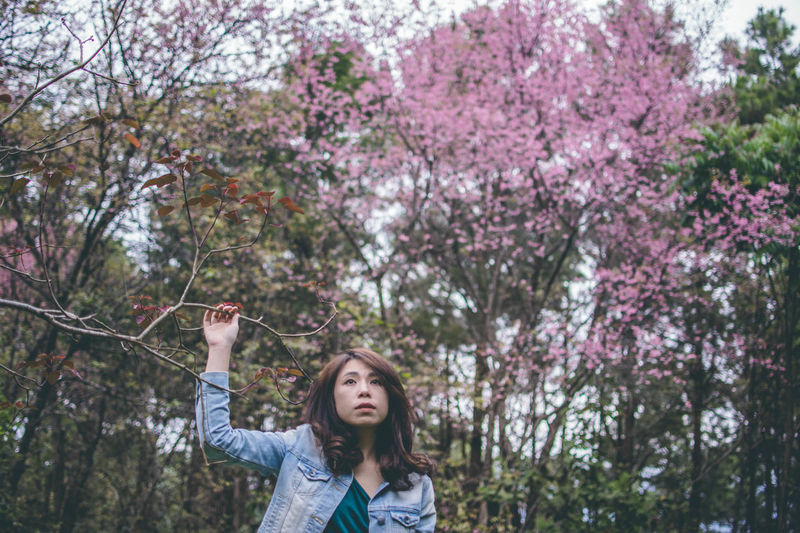 Beautiful woman looking away while standing against pink flowering tree