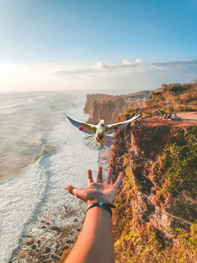 Sitting on a cliff watching the rush of those beautiful waves and playing with birds. 