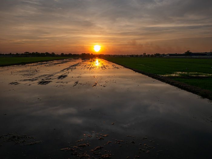 Scenic view of wet field against sky during sunset