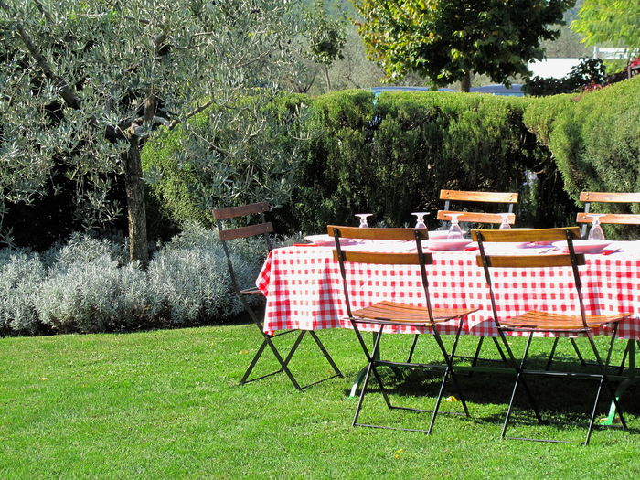 Empty chairs and table in lawn