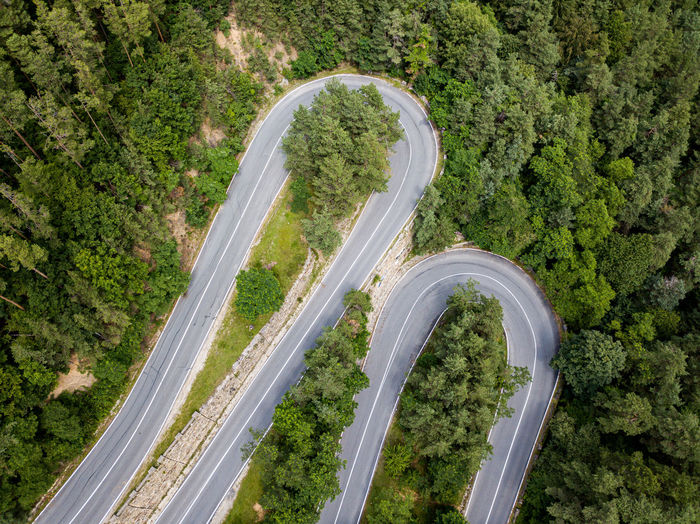 High angle view of road amidst plants and trees
