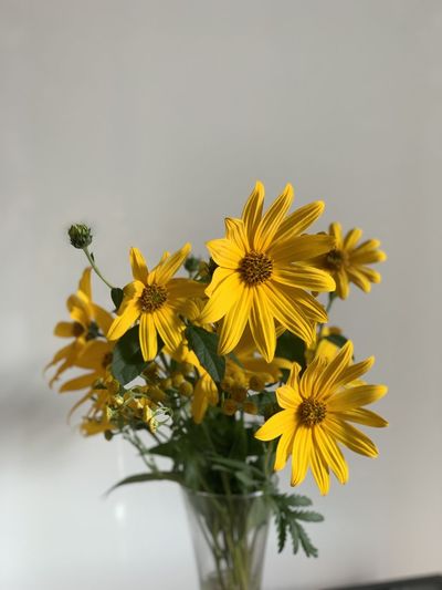 Close-up of yellow daisy flowers in vase