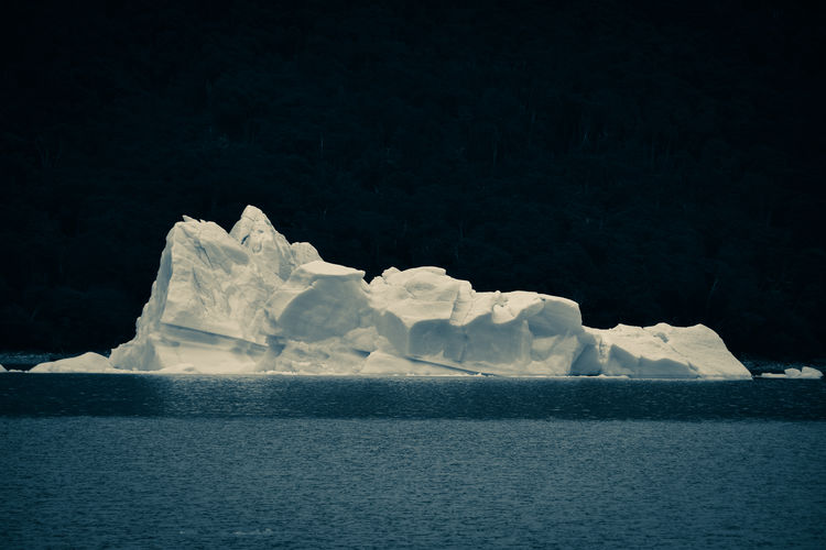 Scenic view of iceberg against forest