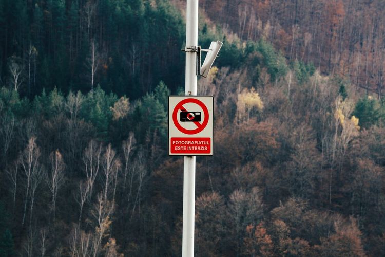 Close-up of road sign on pole against trees in forest