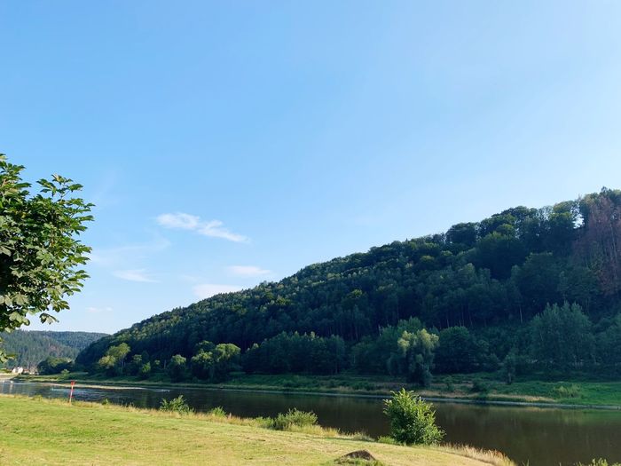 Scenic view of lake and trees against sky