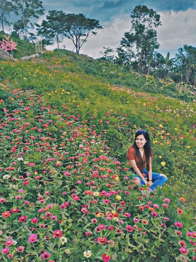Flowers on field
