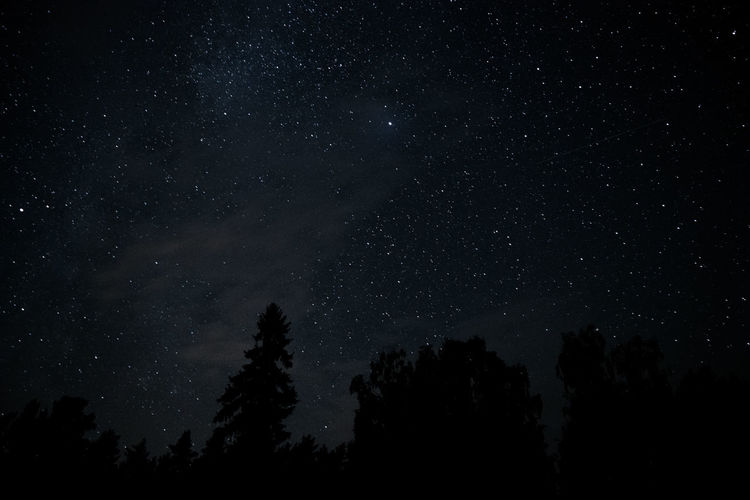 Low angle view of silhouette trees against star field at night