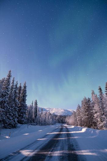 Snow covered road amidst trees against sky at night