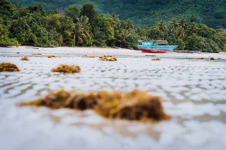 Surface level of water on beach