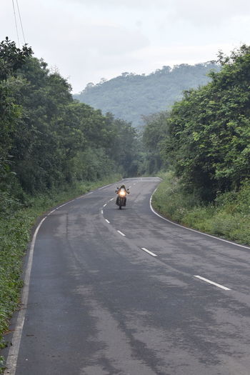 Man riding horse on road amidst trees