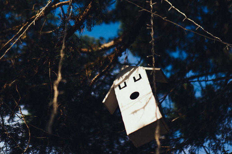 Low angle view of birdhouse hanging on tree