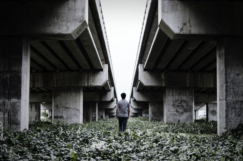 Rear view of man walking amidst plants below bridges against clear sky