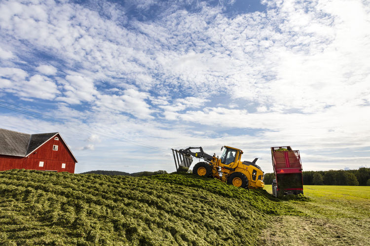 Forklift truck on silage stack