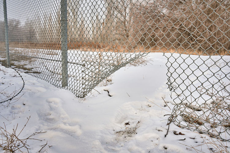 Snow covered field seen through chainlink fence
