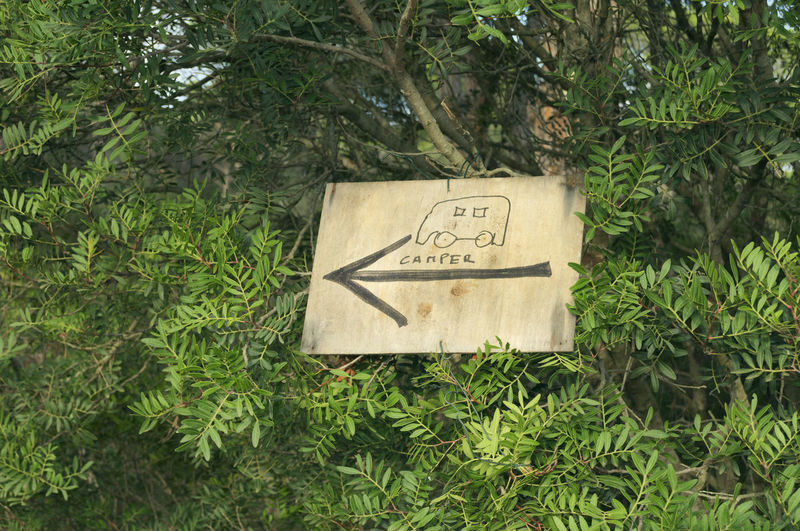 Information sign on tree in forest