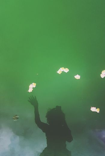 Rear view of person standing in water