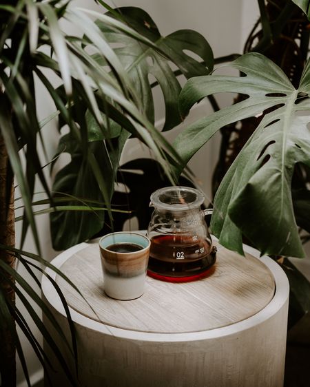Close-up of potted plants on table