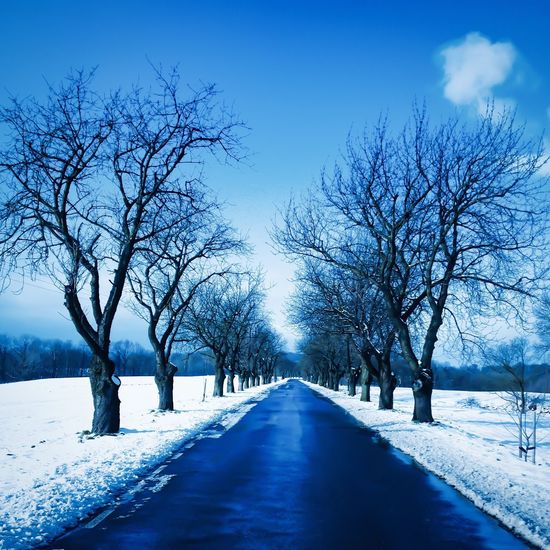 Snow covered road passing through landscape