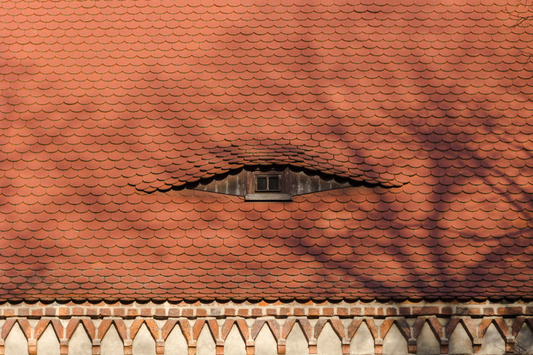 Close-up of roof