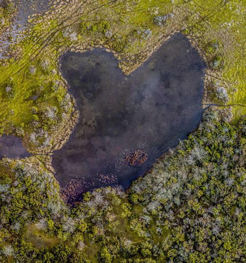 High angle view of heart shape on land