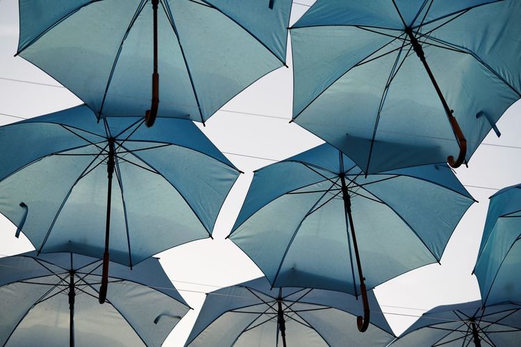 Low angle view on blue umbrellas in a raw