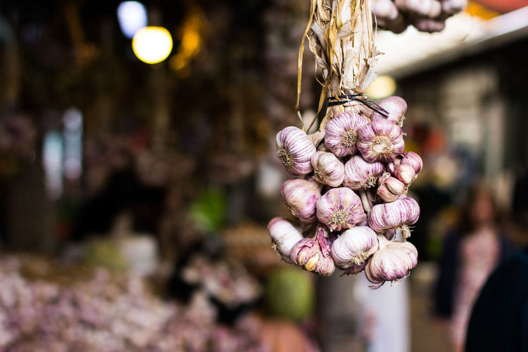 Close-up of garlic bulbs against blurred background