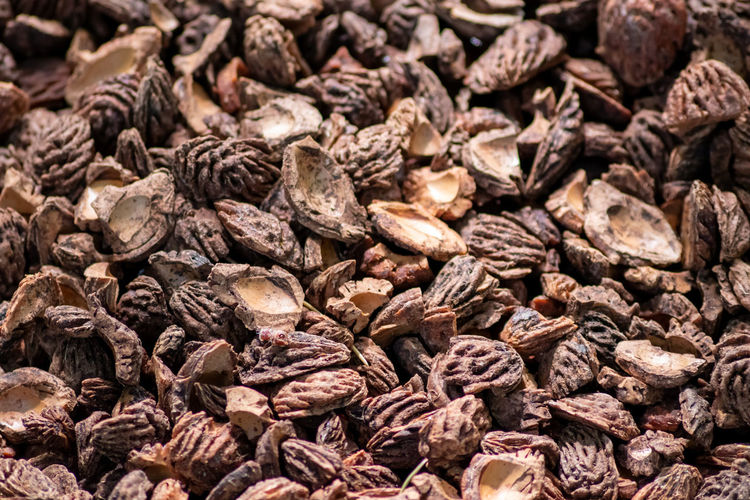 Organic background with shredded peach seeds as organic mulching and sustainable pathway