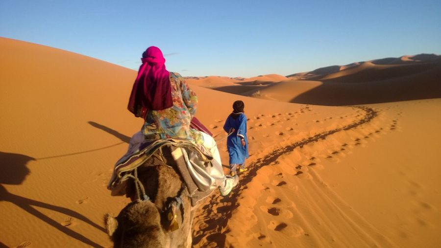 Camel traveling through desert