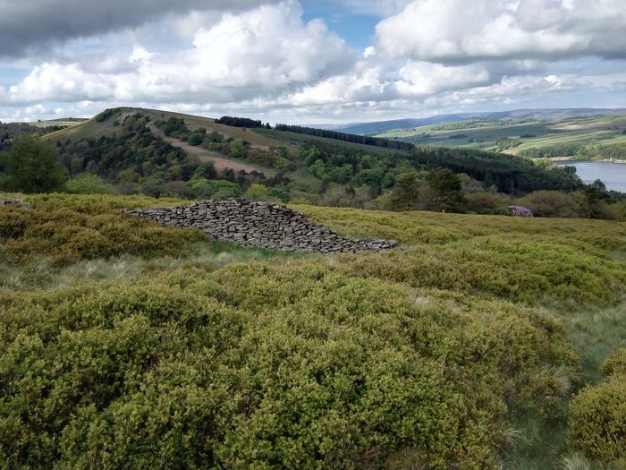 Scenic view of landscape against cloudy sky