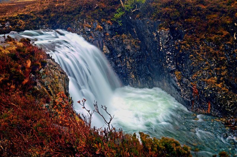 Scenic view of waterfall in forest