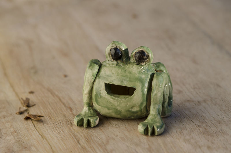 Close-up of frog on table