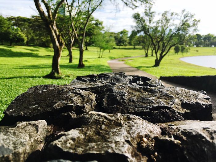 Scenic view of landscape