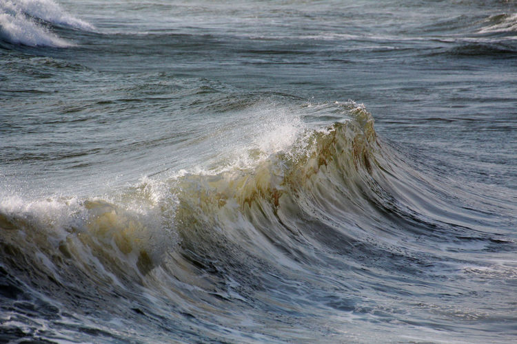 Close-up of wave on shore