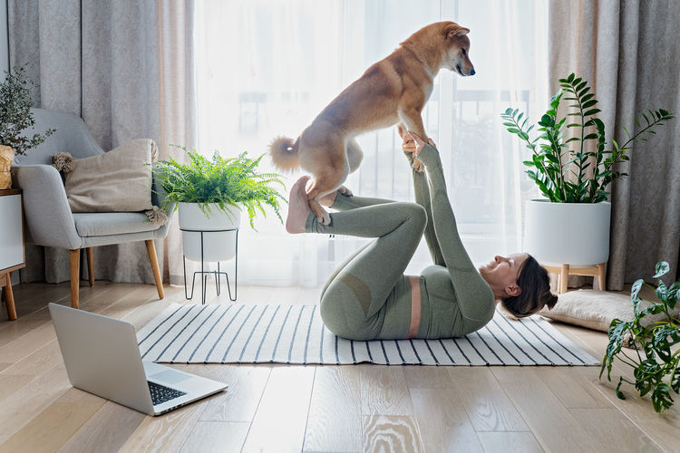 Funny pregnant female doing online yoga with cute shiba inu dog at home. doga yoga or dog training