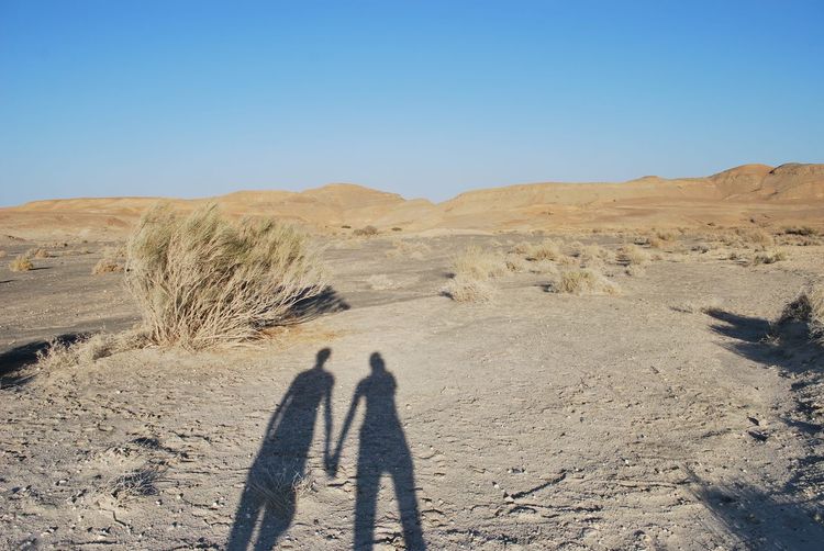 Shadow of a couple holding hands in desert