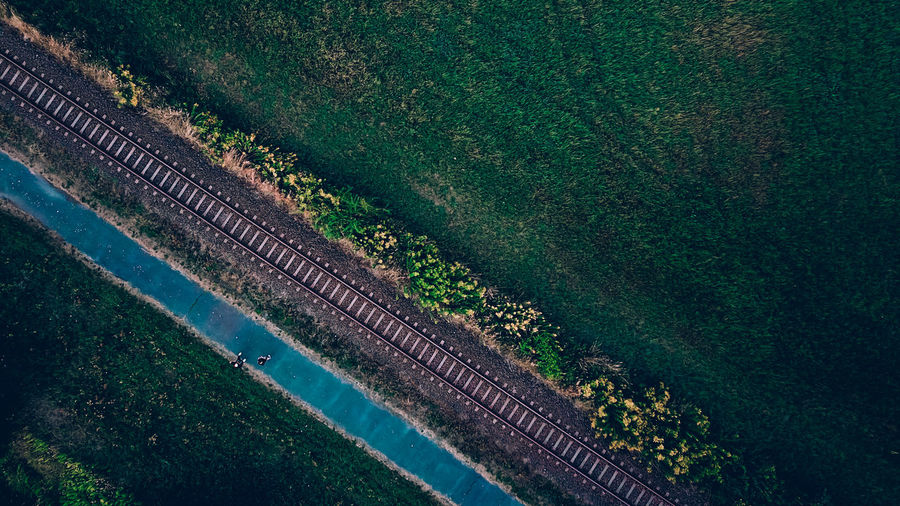 High angle view of trees on field