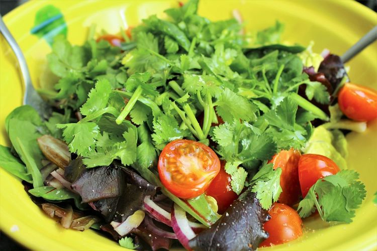 Close-up of vegetarian salad in plate  cherry tomato, cilantro, red onion and  lettuce. photo 