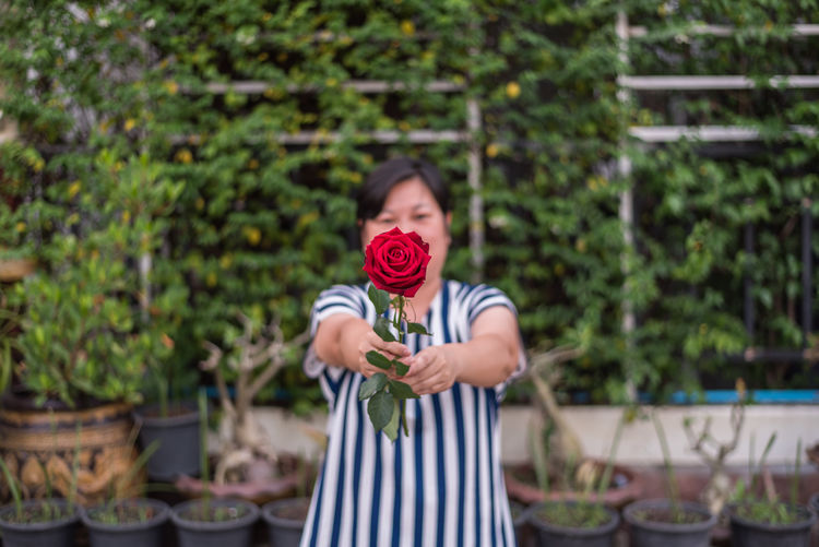 Mature woman holding red rose while standing at backyard