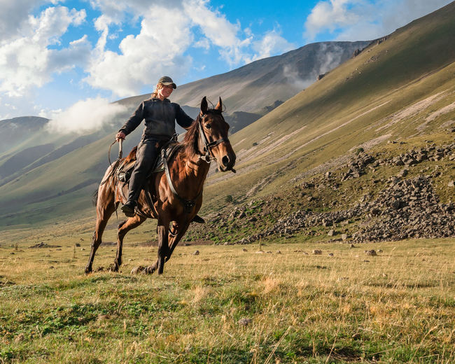 Horses on field
