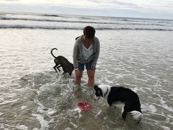Mid adult woman playing with dogs at beach against sky